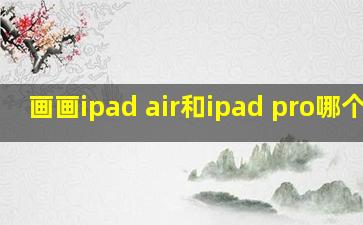 画画ipad air和ipad pro哪个好